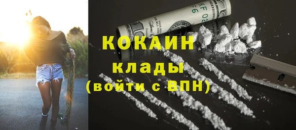 хмурый Алзамай