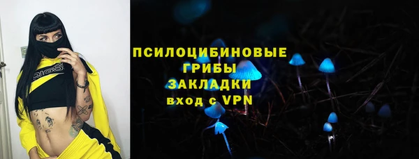 СК Пестово