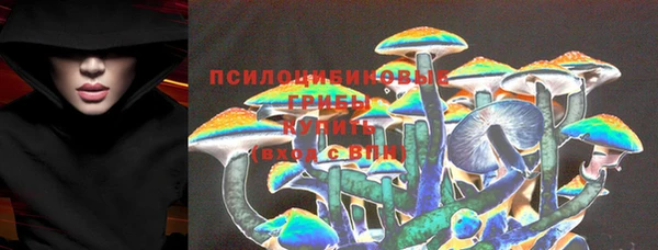 спайс Алексин