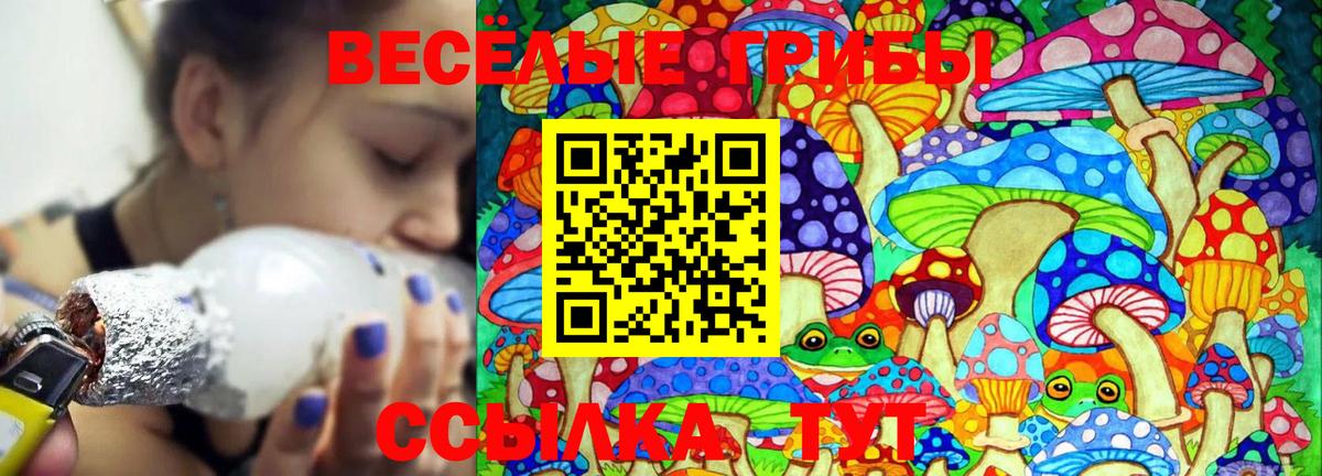 Псилоцибиновые грибы Psilocybe Мирный