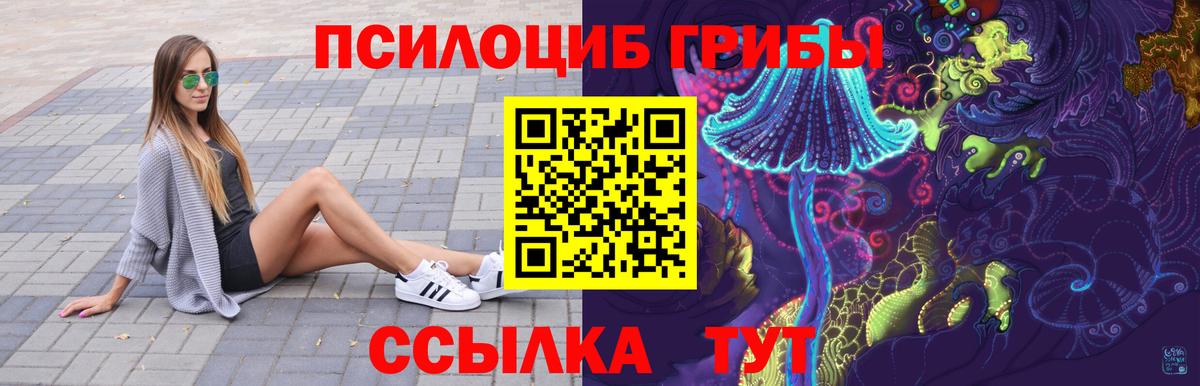 Мирный  Псилоцибиновые грибы прущие грибы  Вход с VPN 