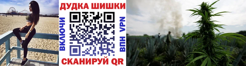 кракен tor  закладки  Мирный  Марихуана Bruce Banner 